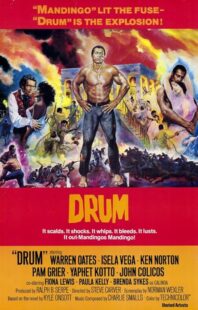 دانلود فیلم Drum 1976423508-419917225