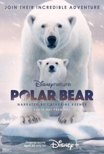 دانلود مستند Polar Bear 2022422974-538273598