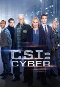 دانلود سریال CSI: Cyber428329-772544270