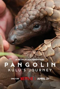دانلود مستند Pangolin: Kulu’s Journey 2025430703-1703417826