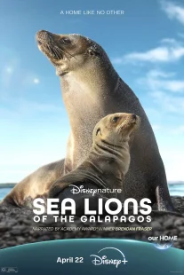 دانلود مستند Sea Lions of the Galapagos 2025431056-868931640