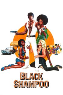 دانلود فیلم Black Shampoo 1976435042-593199714
